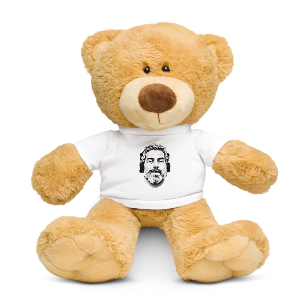 Teddy Bear with a T-shirt