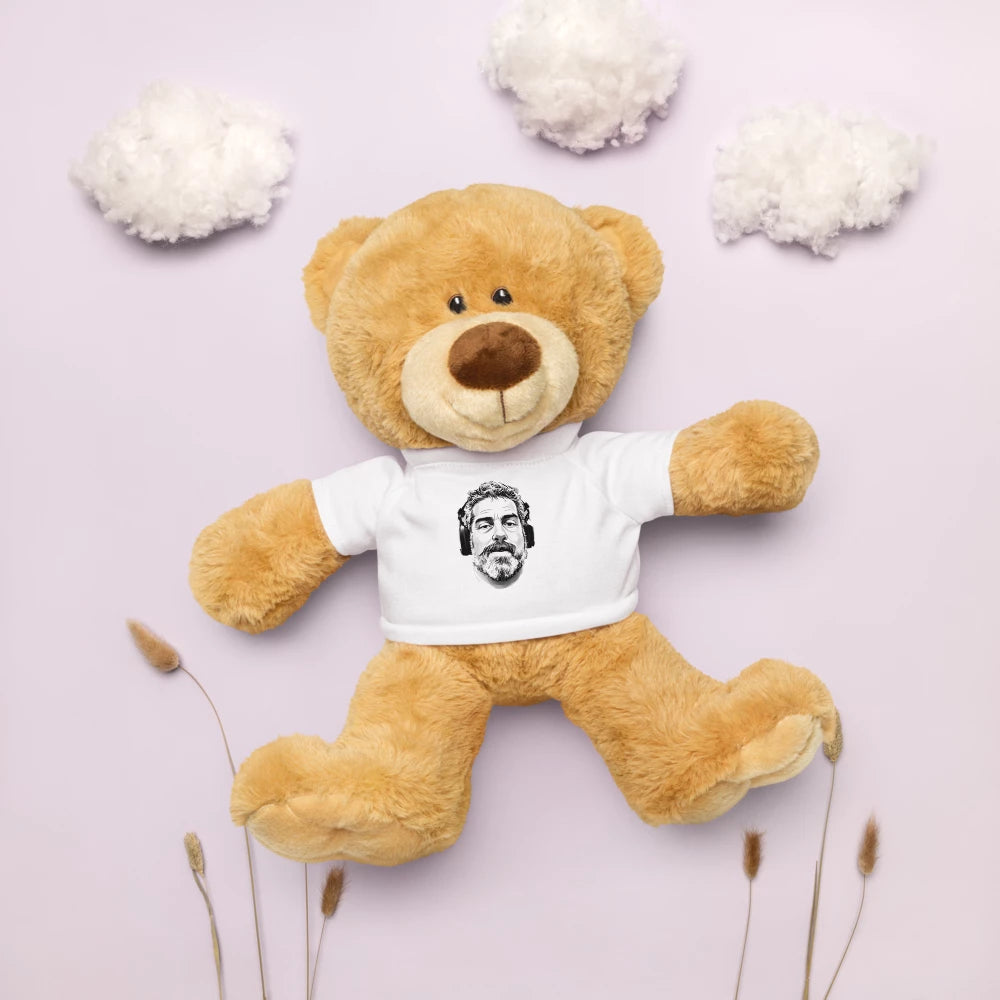 Teddy Bear with a T-shirt